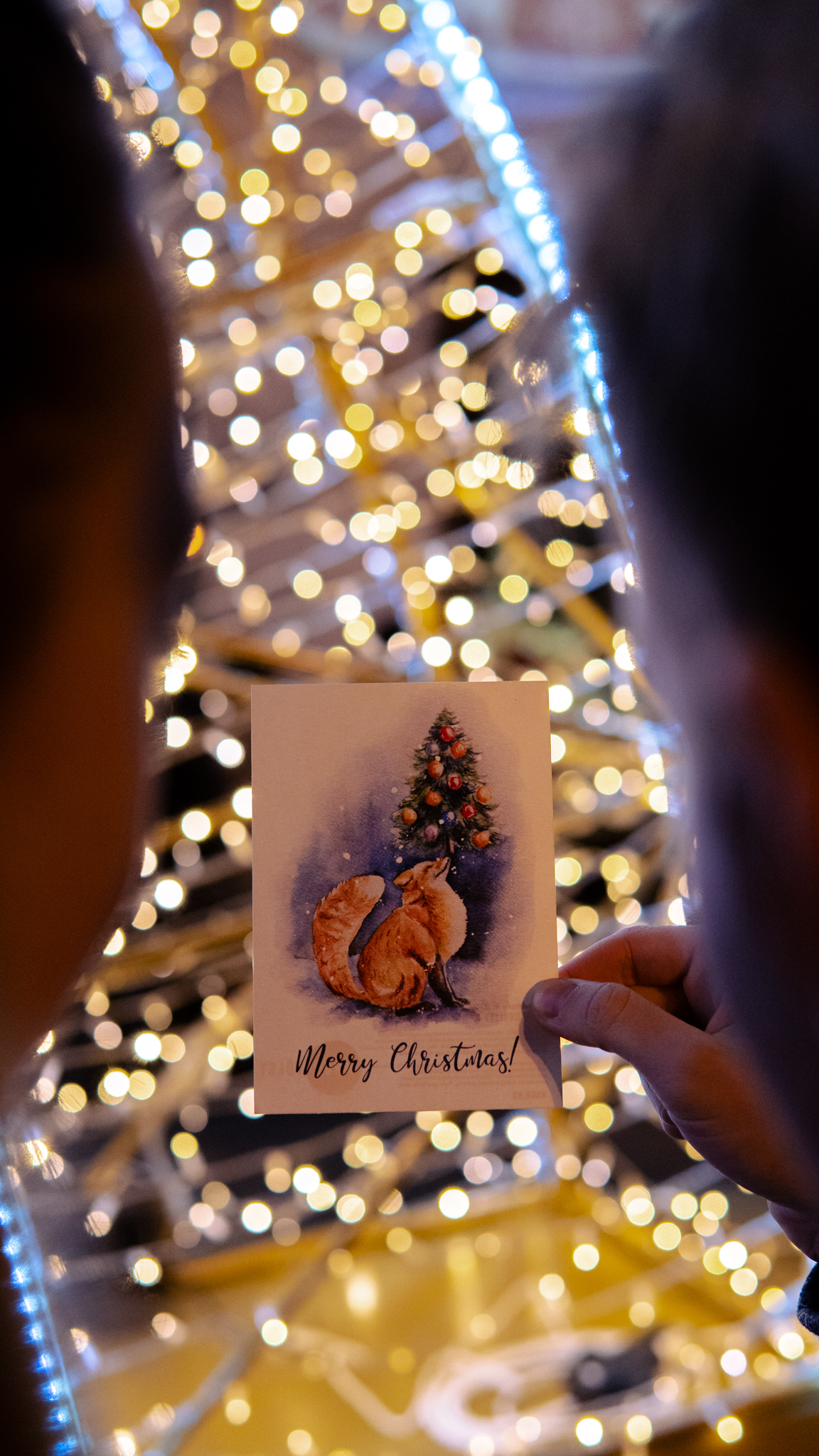 Product Photography & Videography